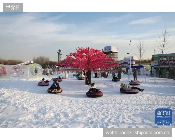 随着全民冰雪热潮向社区延伸,适用于户外季节性冰场的移动式、快拆型UHMWPE围板系统将成为新增长点 随着全民冰雪热潮向社区延伸,适用于户外季节性冰场的移动式、快拆型UHMWPE围板系统将成为新增长点
